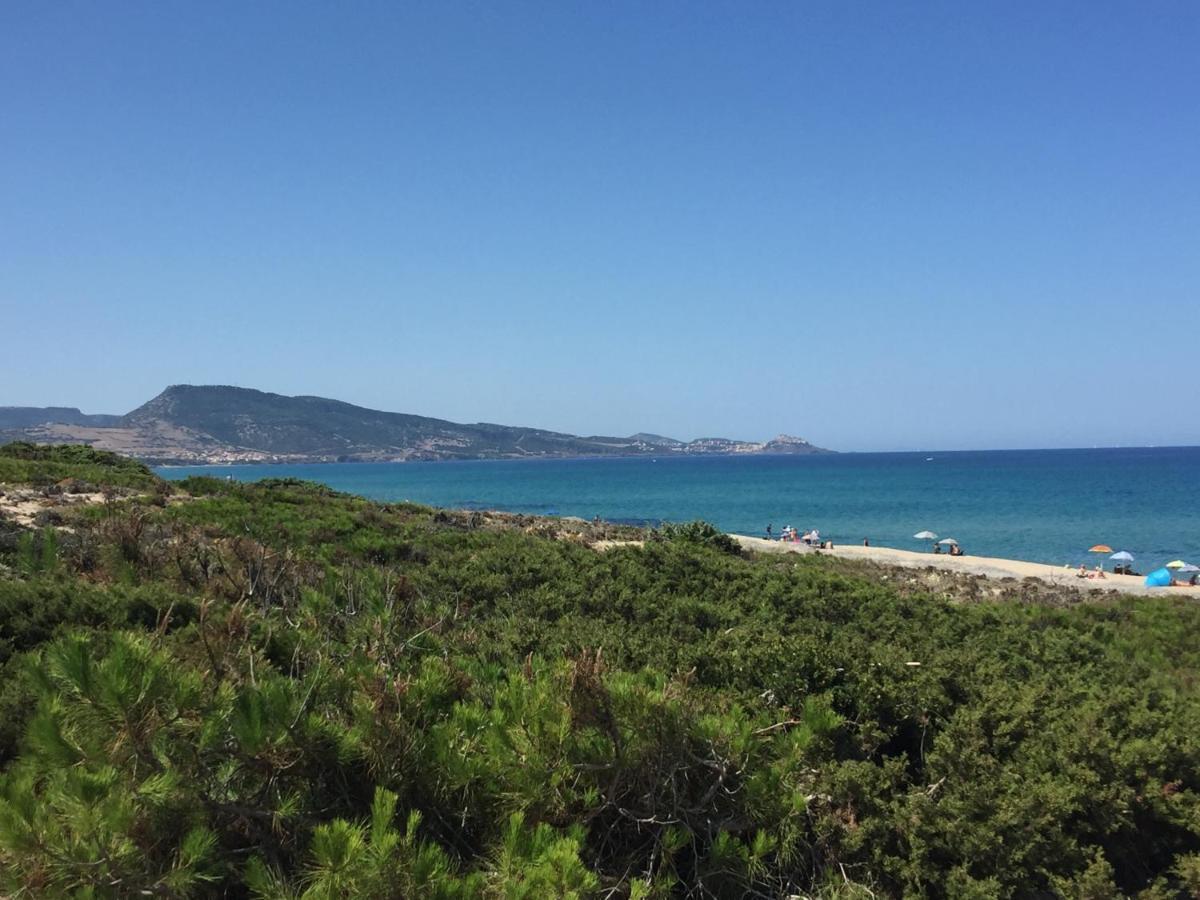 Carrabean Sea In The North Of Sardegna, With Swimming Pool Βίλα Viddalba Εξωτερικό φωτογραφία