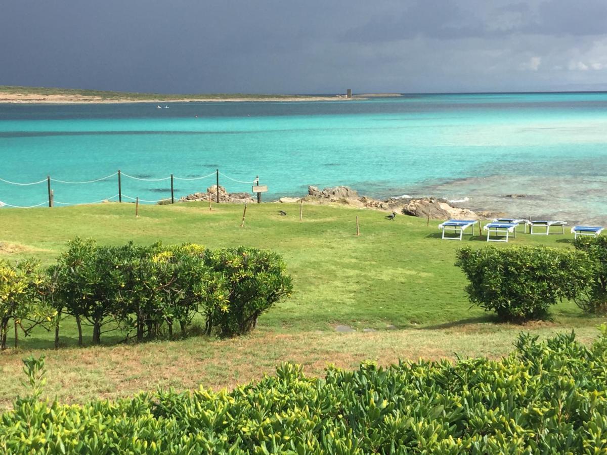 Carrabean Sea In The North Of Sardegna, With Swimming Pool Βίλα Viddalba Εξωτερικό φωτογραφία