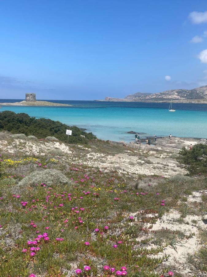 Carrabean Sea In The North Of Sardegna, With Swimming Pool Βίλα Viddalba Εξωτερικό φωτογραφία